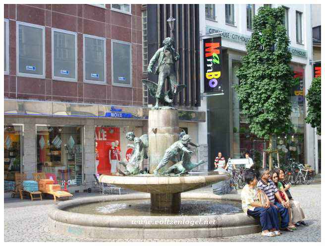 Maison natale de Beethoven, mémoire musicale de Bonn