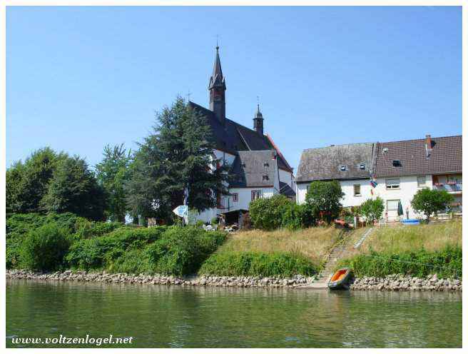 Croisière relaxante sur le Rhin, découvrant la beauté des paysages.