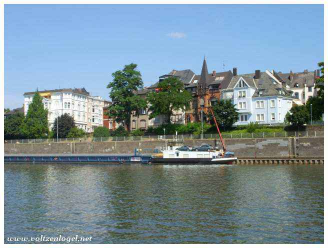 Promenade tranquille le long des rives du Rhin