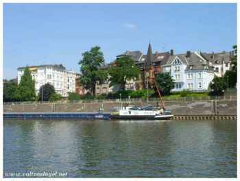 Confluence majestueuse du Rhin et de la Moselle