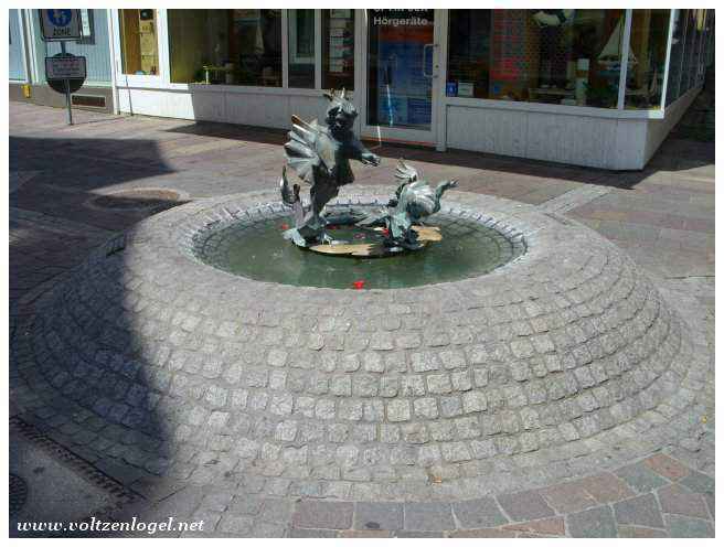 Balade en vélo le long du Rhin