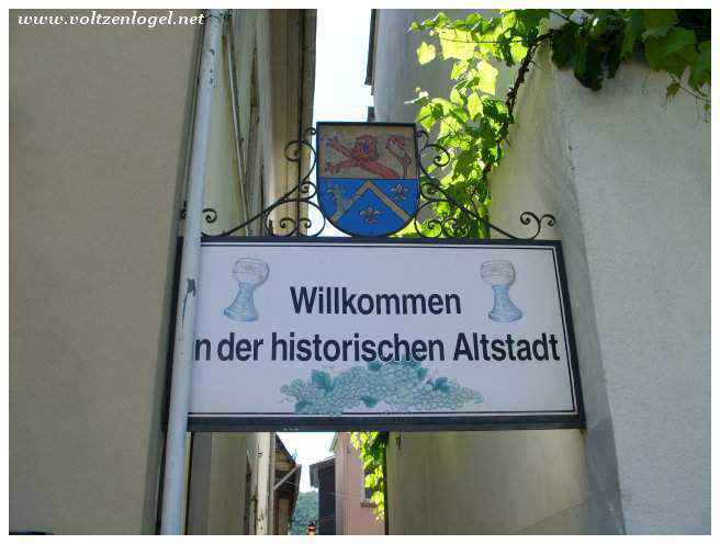 Charmants cafés de Sankt-Goarshausen, lieu de détente au cœur de l'action.