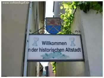 Le charme historique de Sankt-Goarshausen le long du Rhin