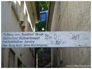 Récits du Rhin : légendes et vignobles pittoresques