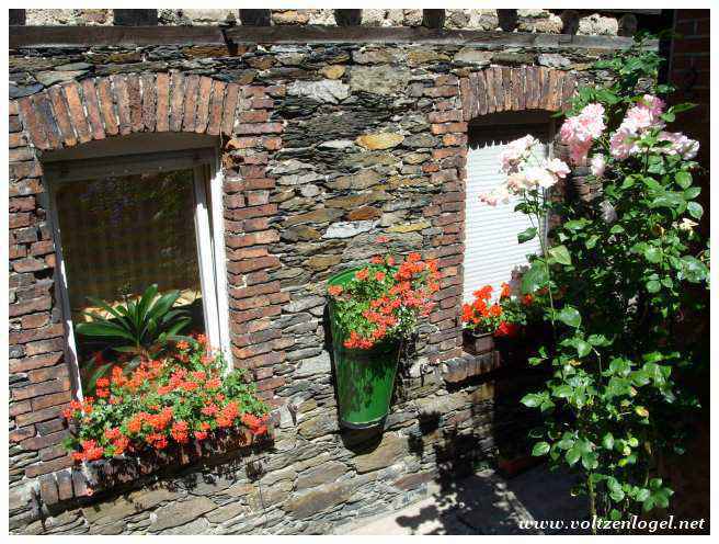 Forteresse de Rheinfels, vue imprenable sur le Rhin.