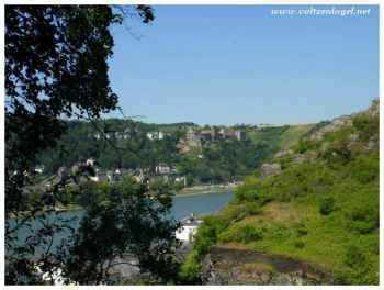 Rhin majestueux : paysages époustouflants à couper le souffle