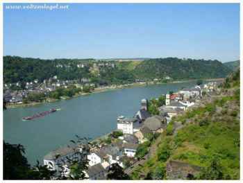 Massif rhénan : beauté naturelle du fleuve