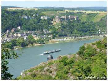 Lorelei Museum : centre culturel et historique de la ville