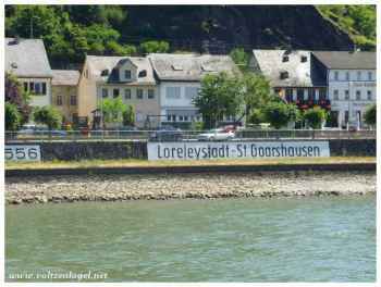 Récit historique à travers une croisière inoubliable sur le Rhin