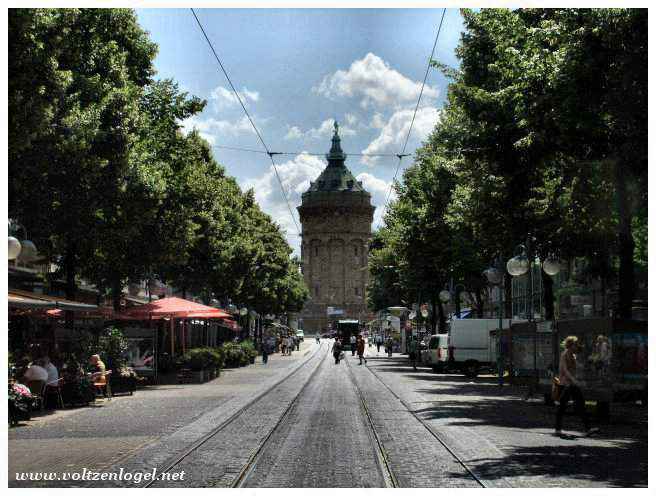 Friedrichsplatz, oasis de verdure au cœur de Mannheim.