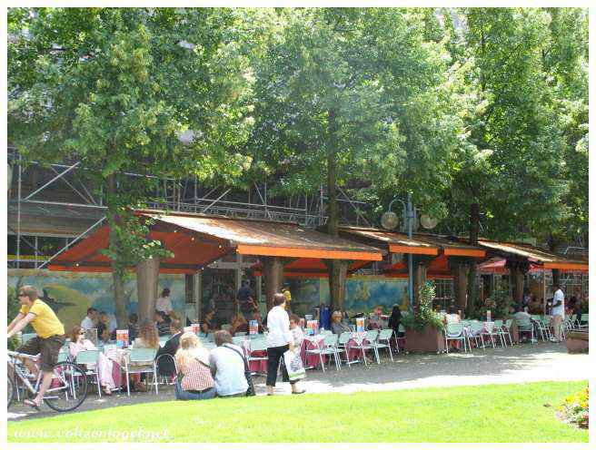 Friedrichsplatz : oasis de verdure au cœur de Mannheim