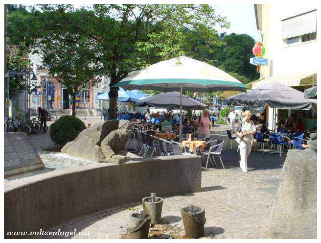 Paysages pittoresques le long du Rhin