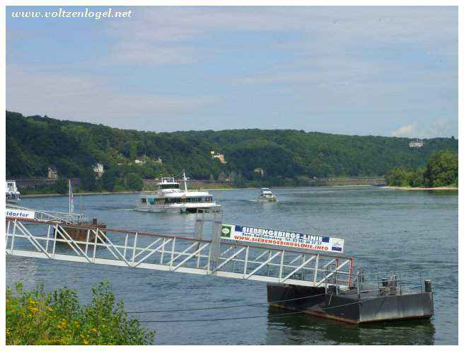 Festivals culturels vivants à Remagen