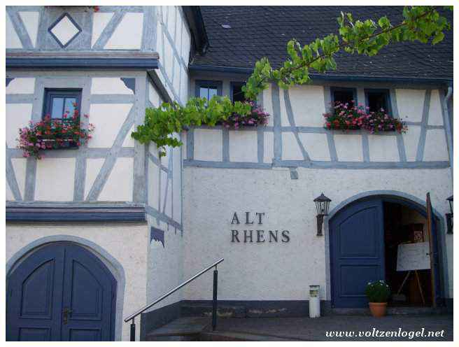 Dégustation de la cuisine locale dans un cadre pittoresque à Rhens.