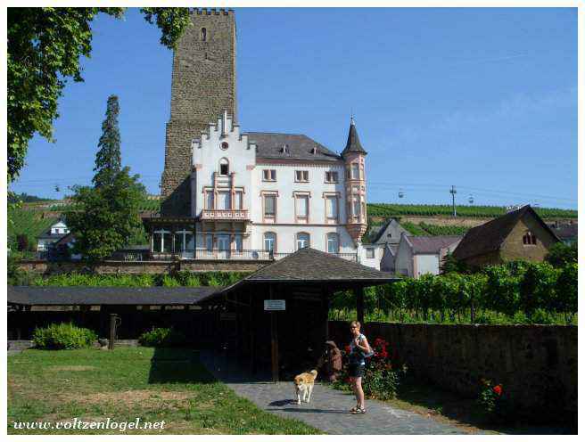 Ambiance de la vieille ville: Cafés animés et architecture traditionnelle à Rüdesheim.