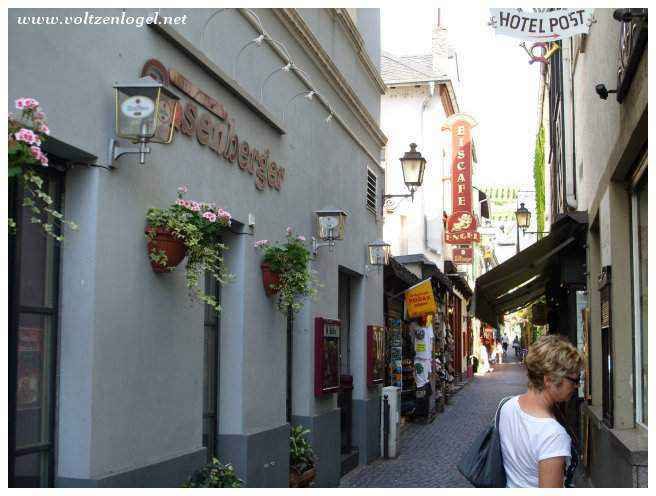 Vieille ville de Rüdesheim : Charme médiéval et rues pavées.