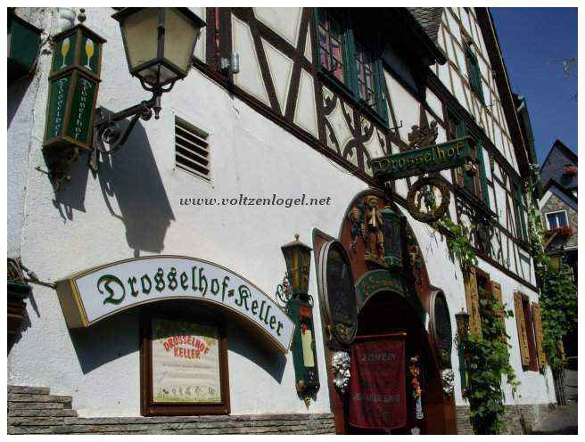 Ambiance festive : cafés animés et boutiques pittoresques de Rüdesheim.