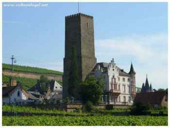 Rudesheim au bord du Rhin. La célèbre Drosselgasse, la vieille ville, vallée de la Lorelei