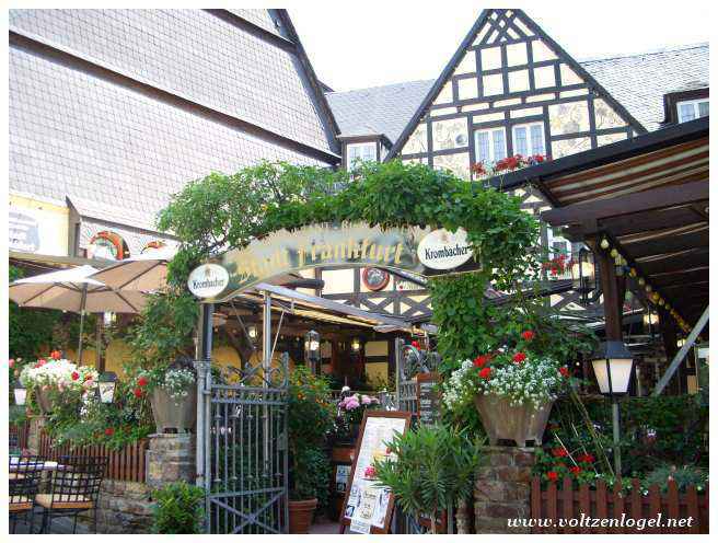 Vignobles dominant le Rhin à Rüdesheim