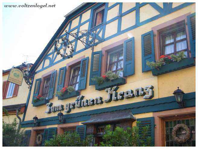 Calèche à Rüdesheim, balade pittoresque