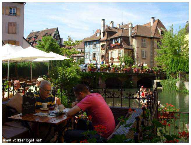 Délicieuse cuisine alsacienne dans une taverne traditionnelle.