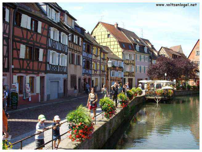 Vignobles dorés autour de Colmar en automne.