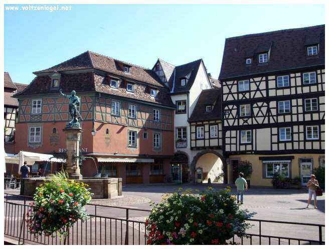 Vignobles d'Alsace autour de Colmar
