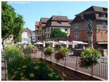 Été à Colmar : marchés et délices alsaciens
