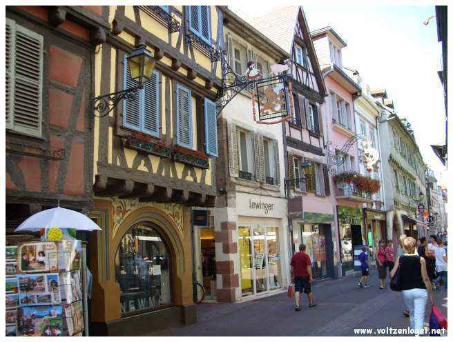 Vignobles alsaciens, panorama verdoyant aux portes de Colmar.