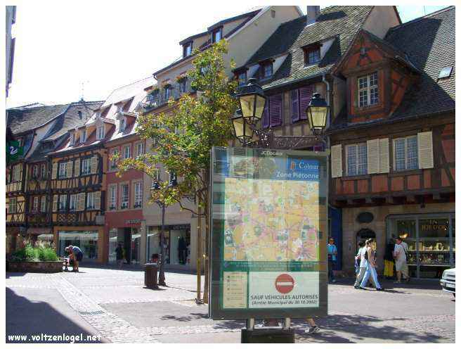 Paysages viticoles entourant la ville de Colmar.