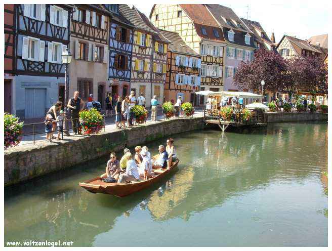 Paysages viticoles autour de Colmar en automne
