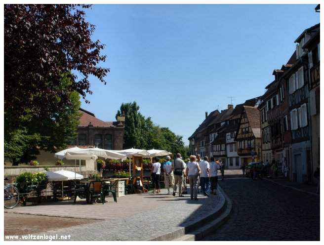 Délicieuses spécialités alsaciennes dans la vieille ville de Colmar.