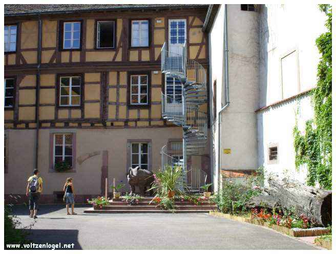 Musée Unterlinden : Trésor culturel de Colmar, Alsace.