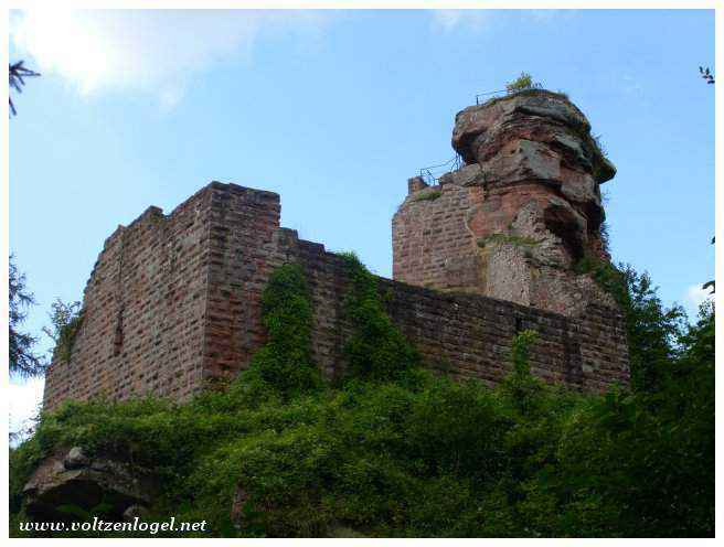 Accès pavé au Château de Fleckenstein, immersion historique