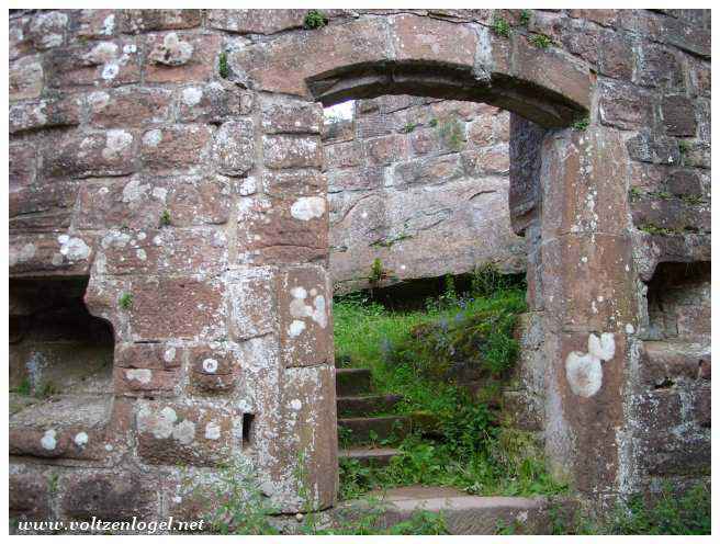 Architecture médiévale du Château de Fleckenstein.