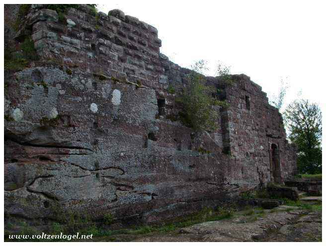 Guide expliquant l’histoire du Château Fleckenstein.