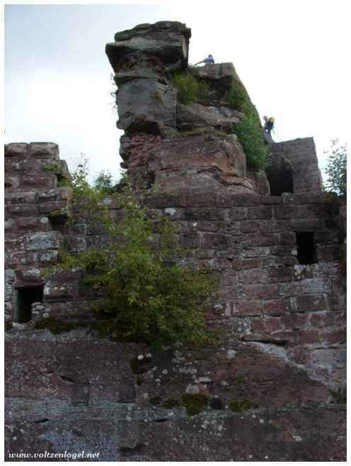 Exploration historique et nature en Alsace.