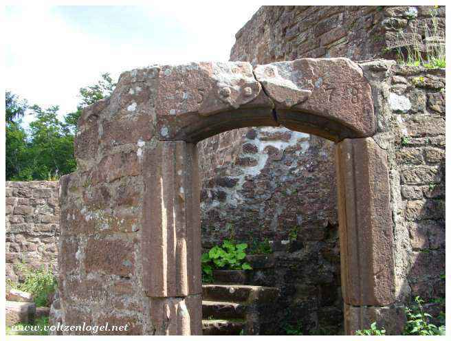 Paysages boisés entourant le Château de Fleckenstein en Alsace.