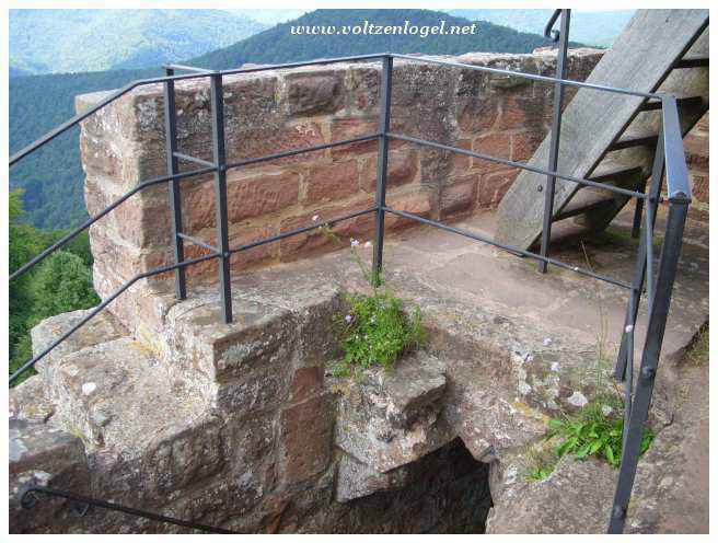 Randonnée autour du Château de Fleckenstein sur des sentiers escarpés.
