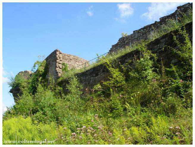 Chemin forestier menant aux ruines du Château de Fleckenstein.