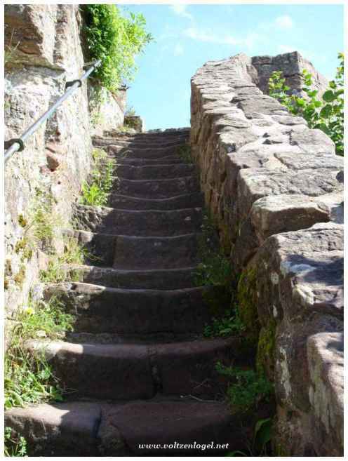 Château Fleckenstein en Alsace