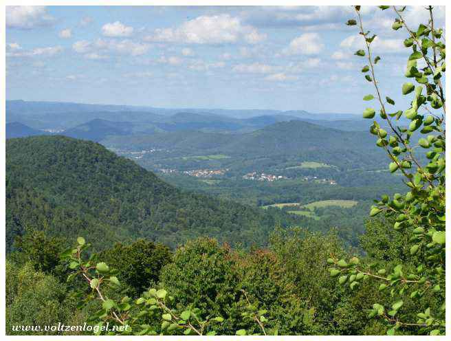 Vue panoramique du Château de Fleckenstein et des Vosges du Nord