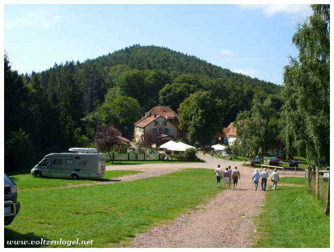 Balade au Château Fleckenstein : Vue panoramique sur les montagnes alsaciennes.