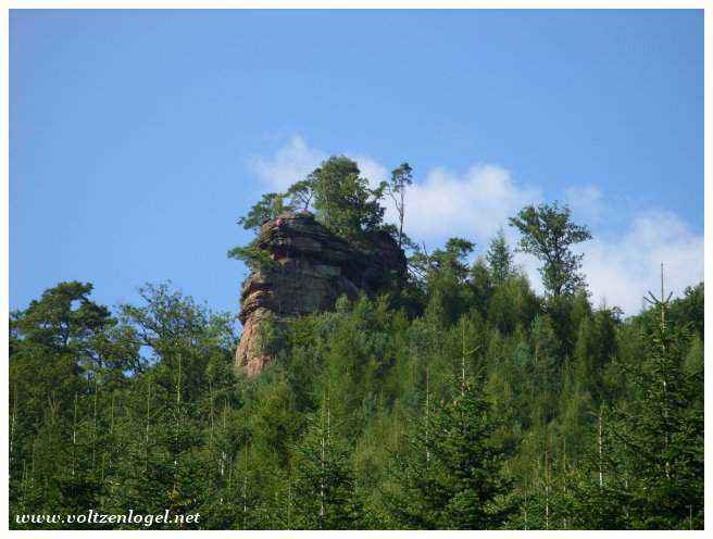 Sentier des charbonniers menant au château de Fleckenstein.