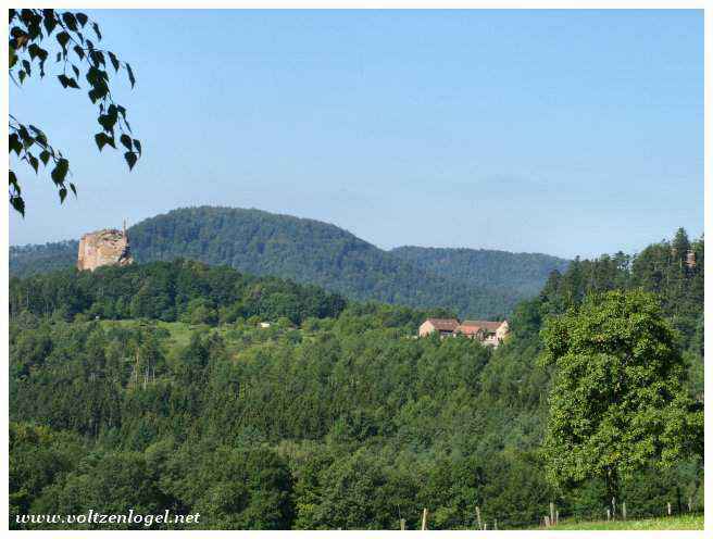 Panorama exceptionnel depuis les hauteurs du Fleckenstein.