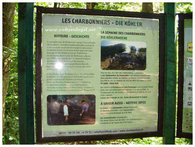 Sentier de randonnée au Gimbelhof à travers la forêt
