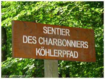 Départ du Gimbelhof le circuit des 4 châteaux par le sentier des Charbonniers