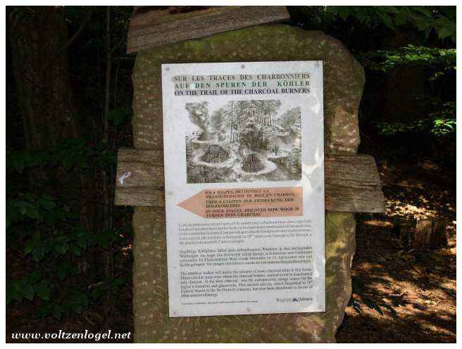 Ruines majestueuses du château Fleckenstein