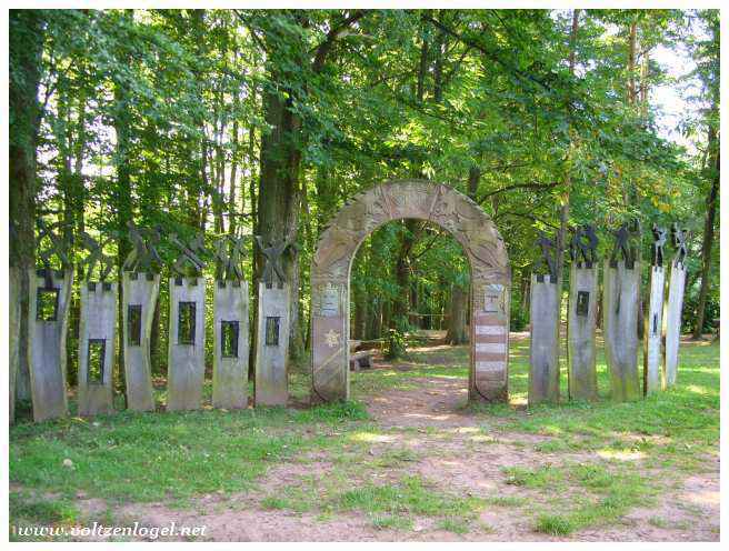 Nature Enchantée : Sentier forestier menant au château de Fleckenstein.