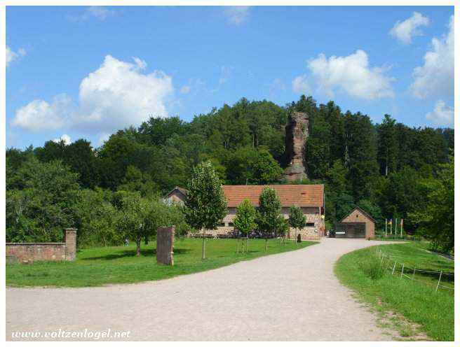 Architecture médiévale du château de Hohenbourg en Alsace
